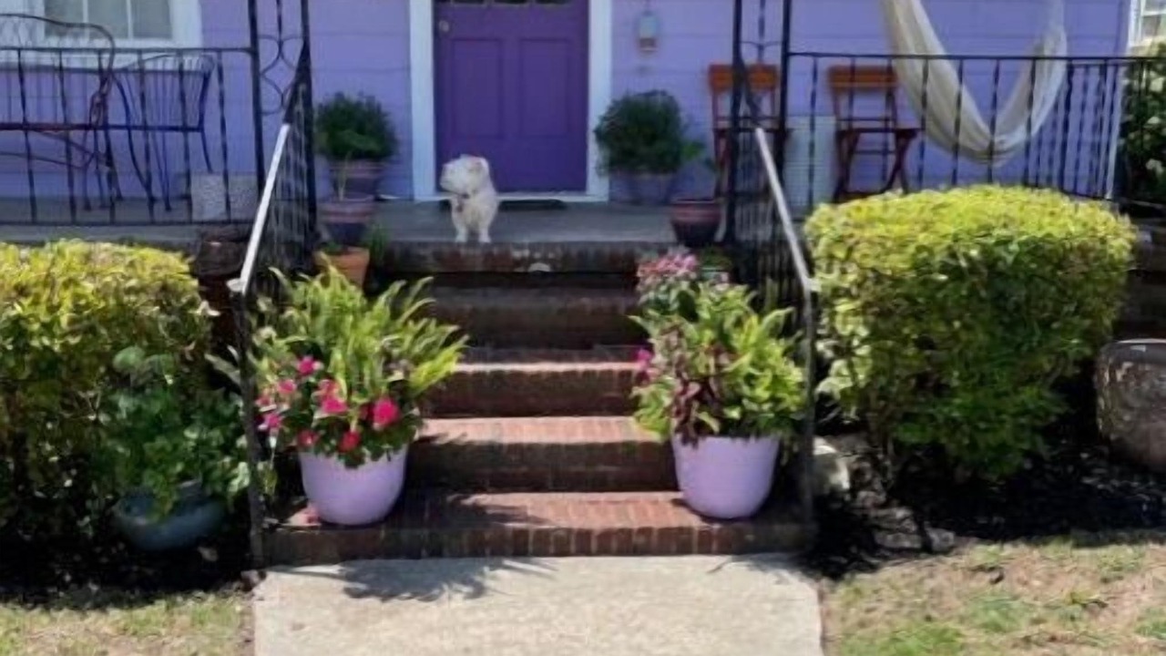 Photo of Outdoor in Charleston
