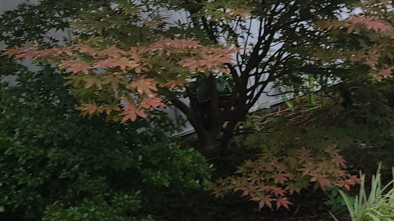 Photo of Outdoor in Northeast Raleigh