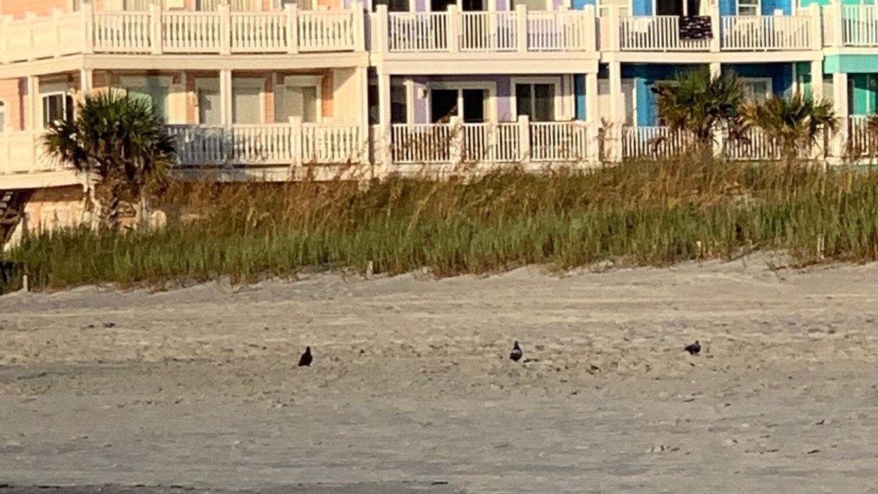 Photo of Others in Garden City
