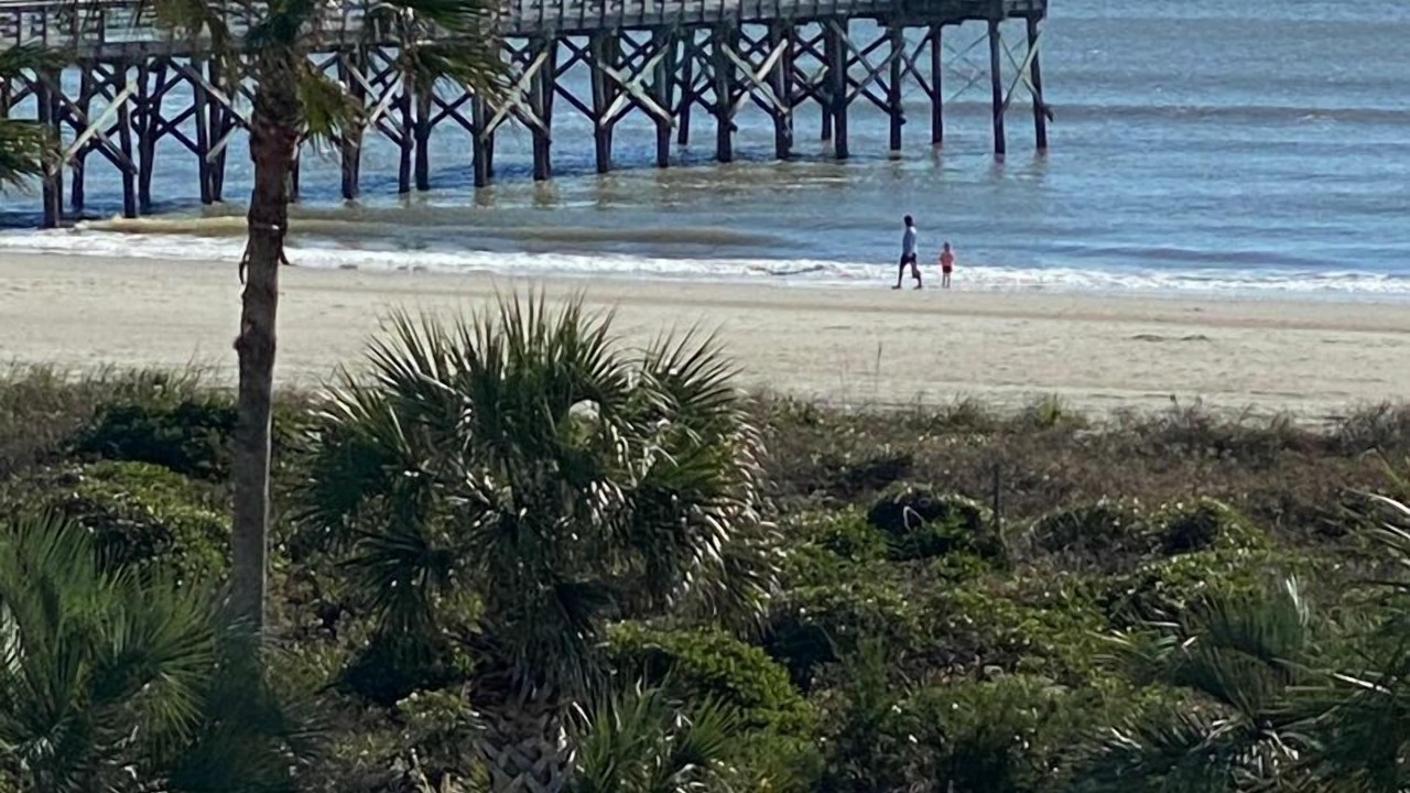 Photo of Others in Isle of Palms