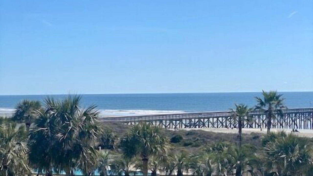Photo of Others in Isle of Palms