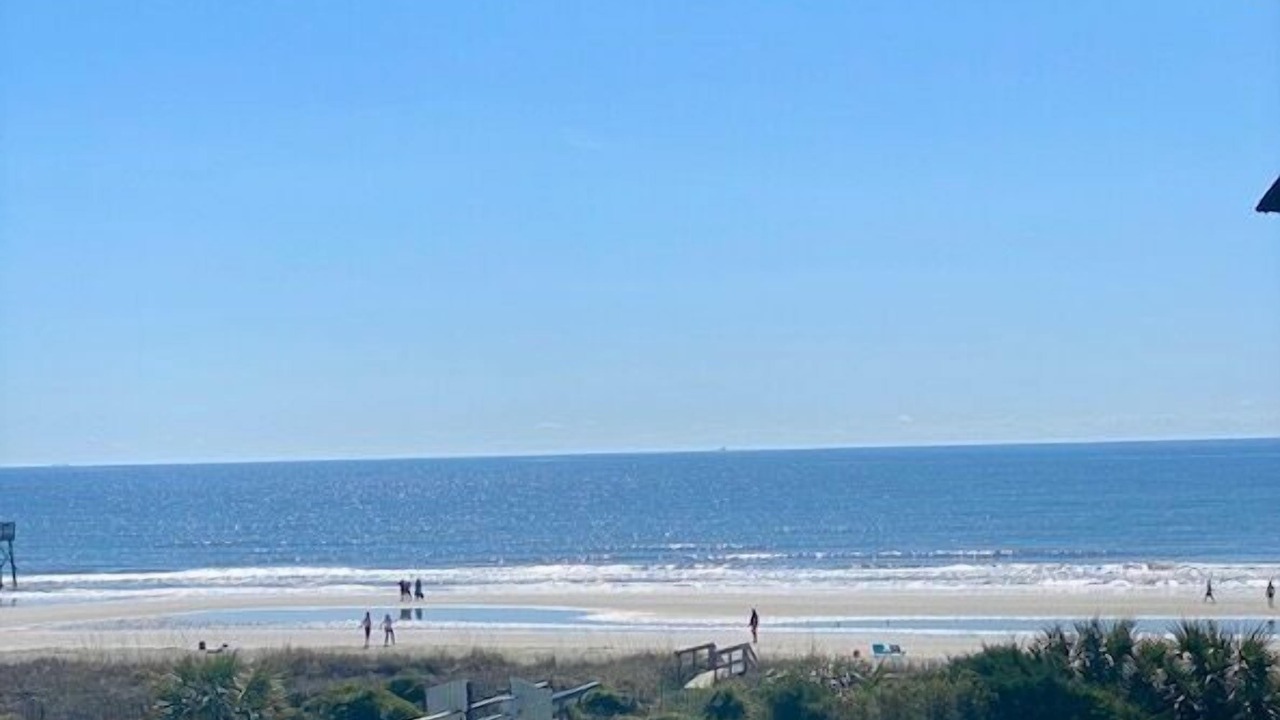 Photo of Outdoor in Isle of Palms