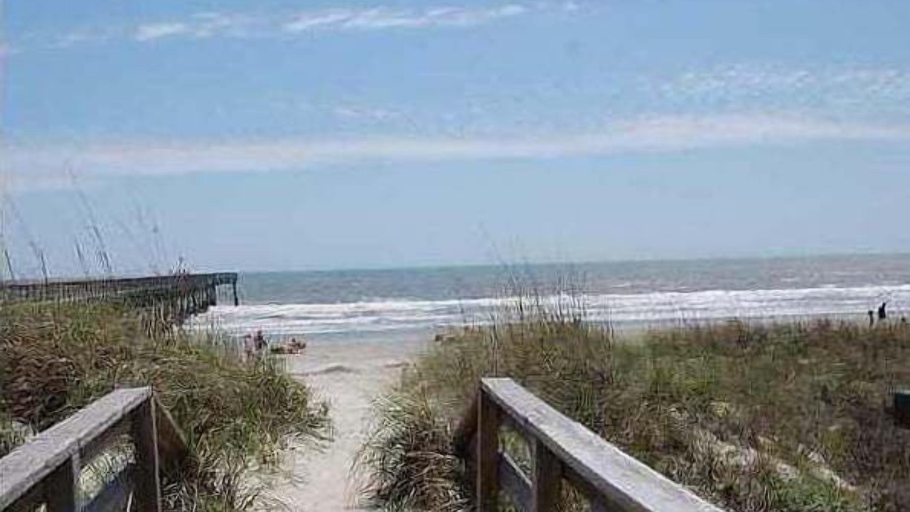 Photo of Others in Isle of Palms