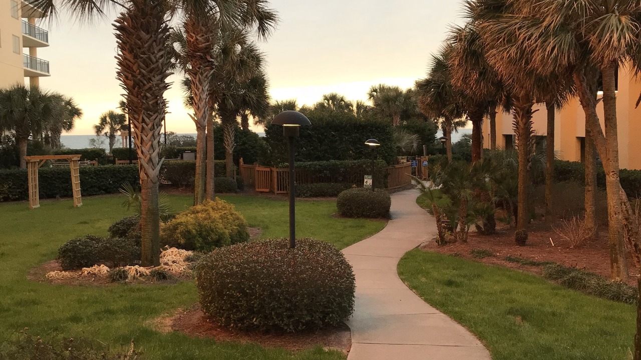 Photo of Outdoor in Arcadian Shores