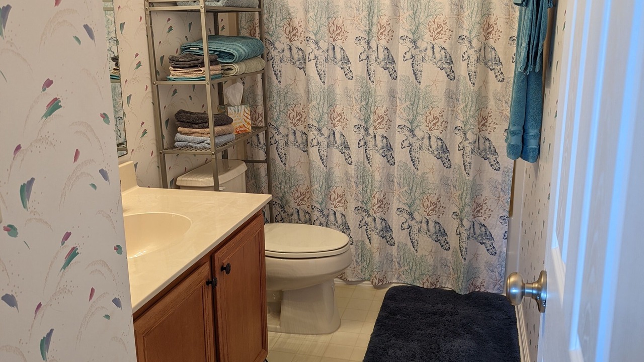 Photo of Bathroom in Surfside Beach