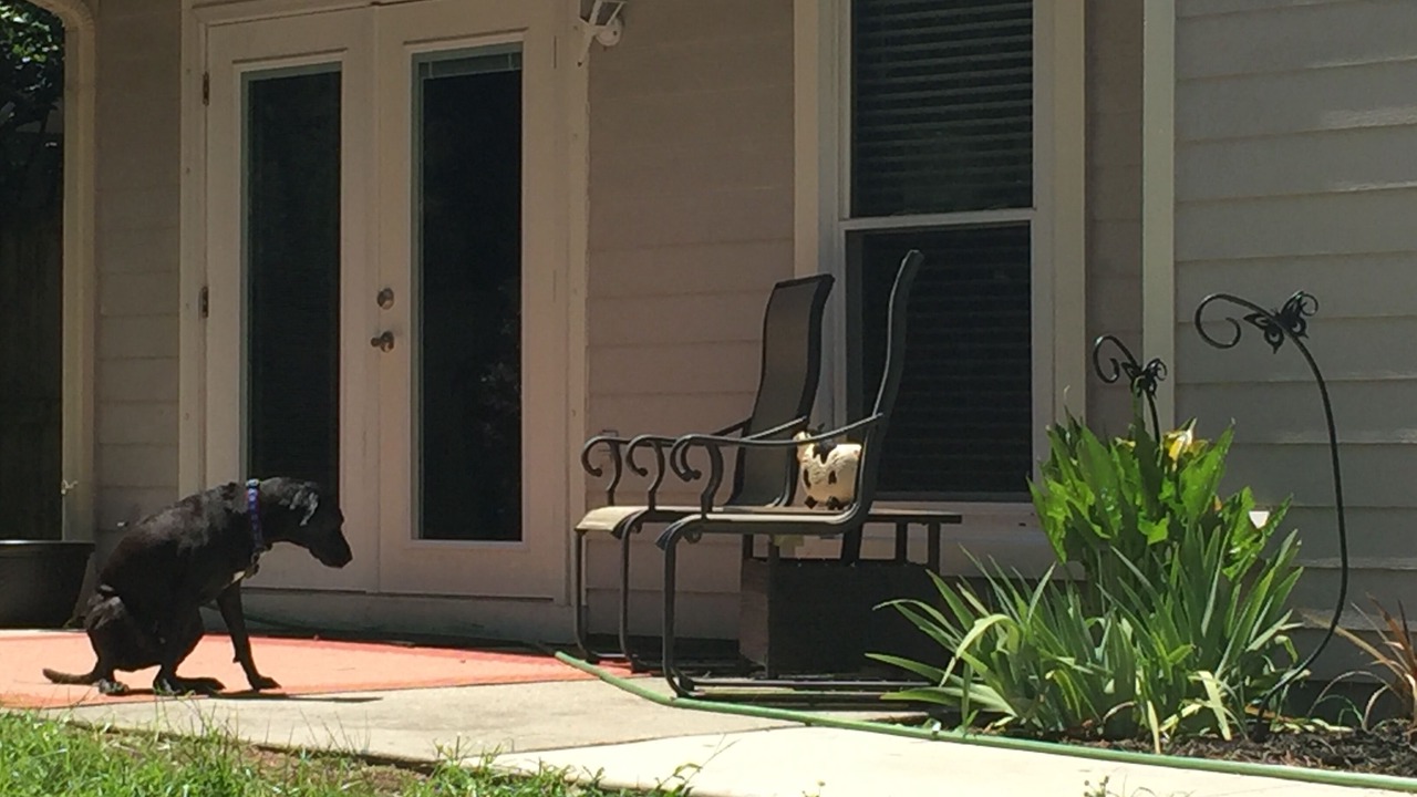 Photo of Outdoor in Mount Pleasant