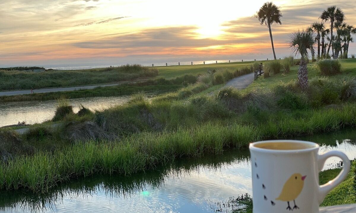 Photo of Others in Saint Helena Island