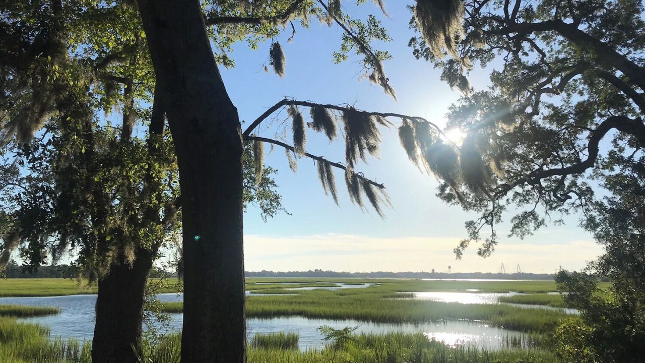Photo of Others in West Ashley