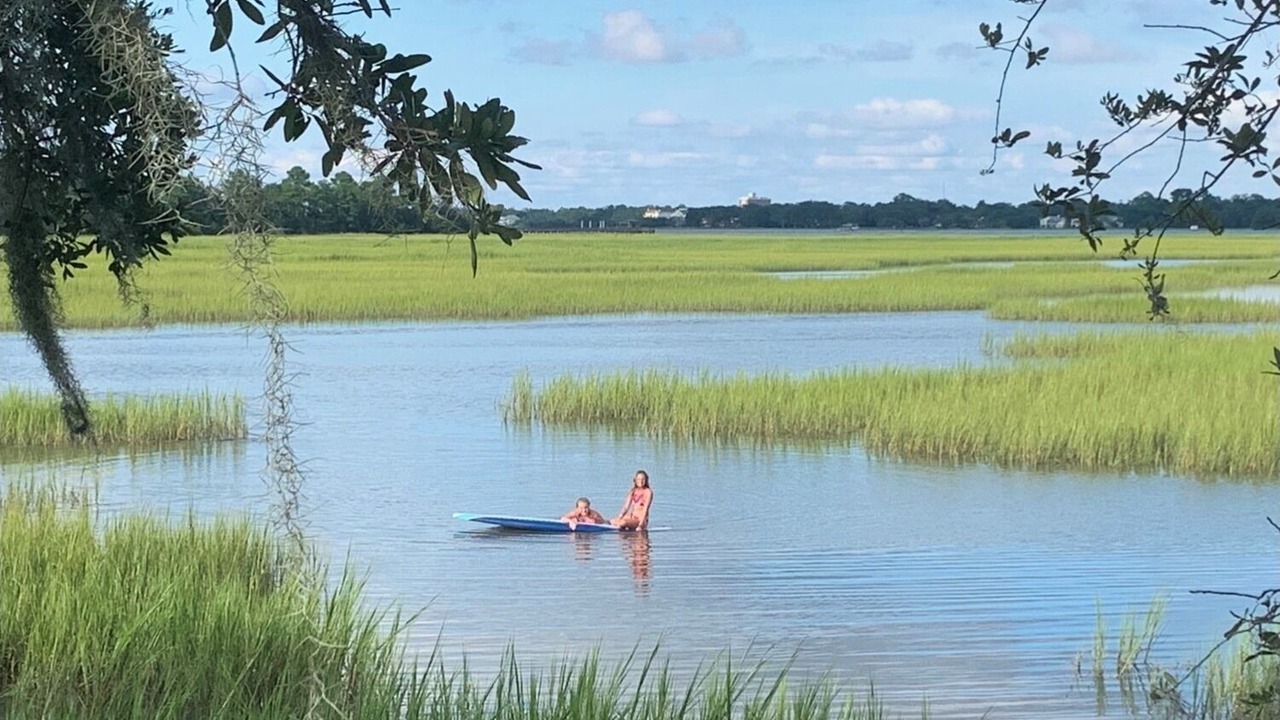 Photo of Others in West Ashley