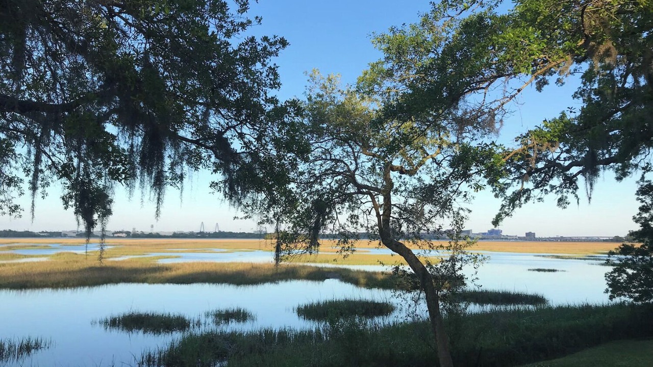 Photo of Others in West Ashley