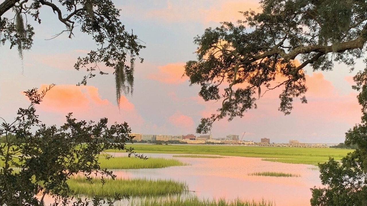 Photo of Others in West Ashley