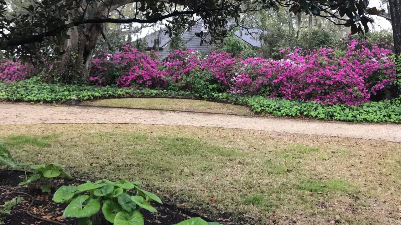 Photo of Outdoor in West Ashley