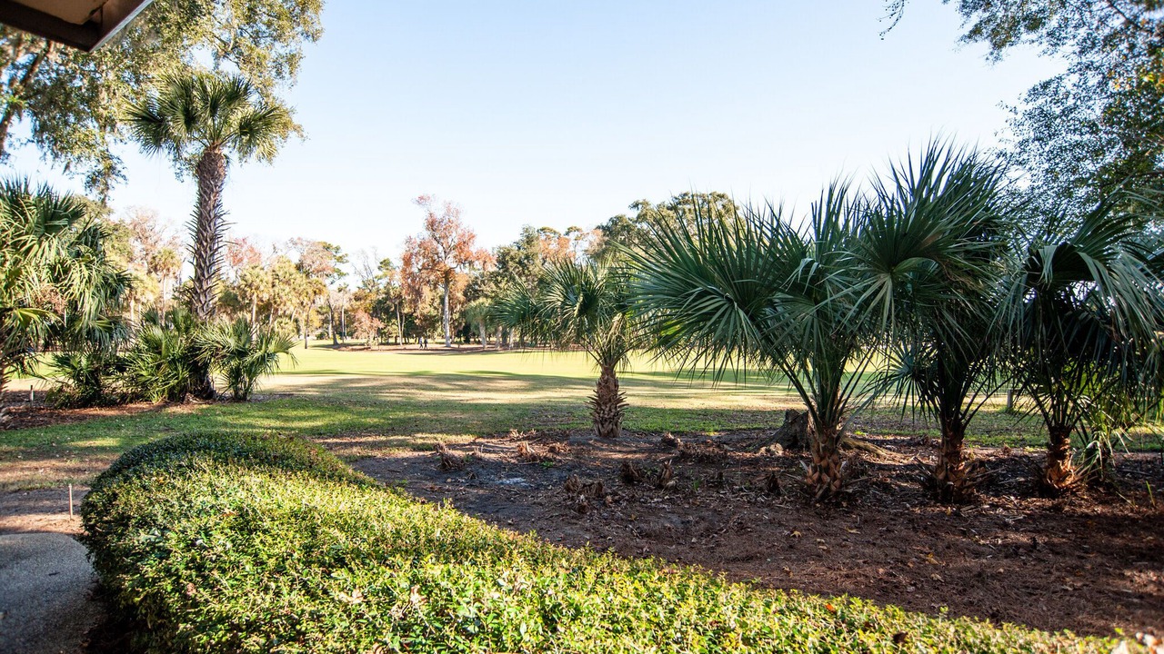 Photo of Others in Sea Pines