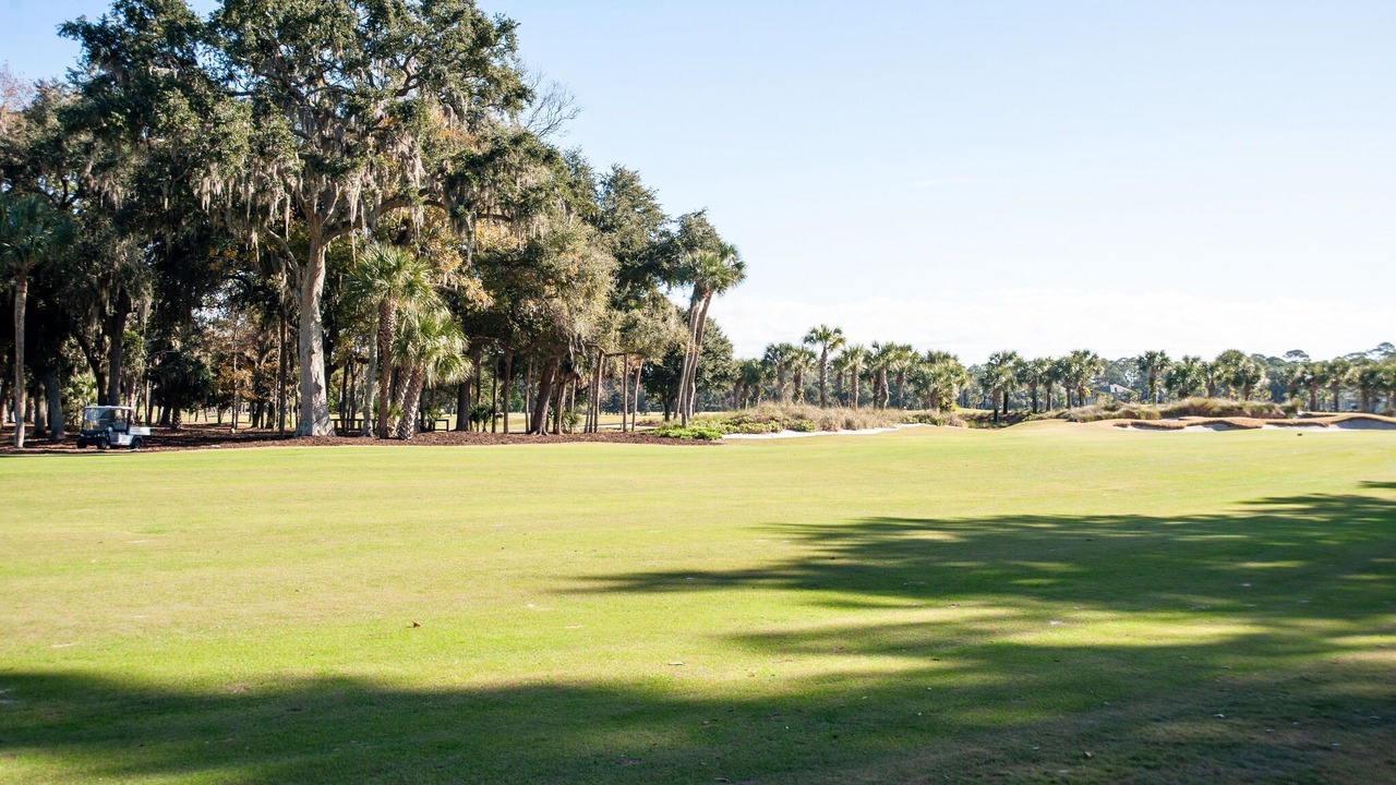 Photo of Others in Sea Pines