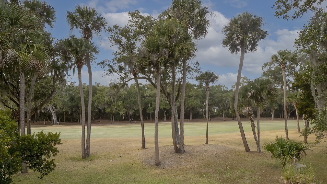 Photo of Others in Tarpon Pond