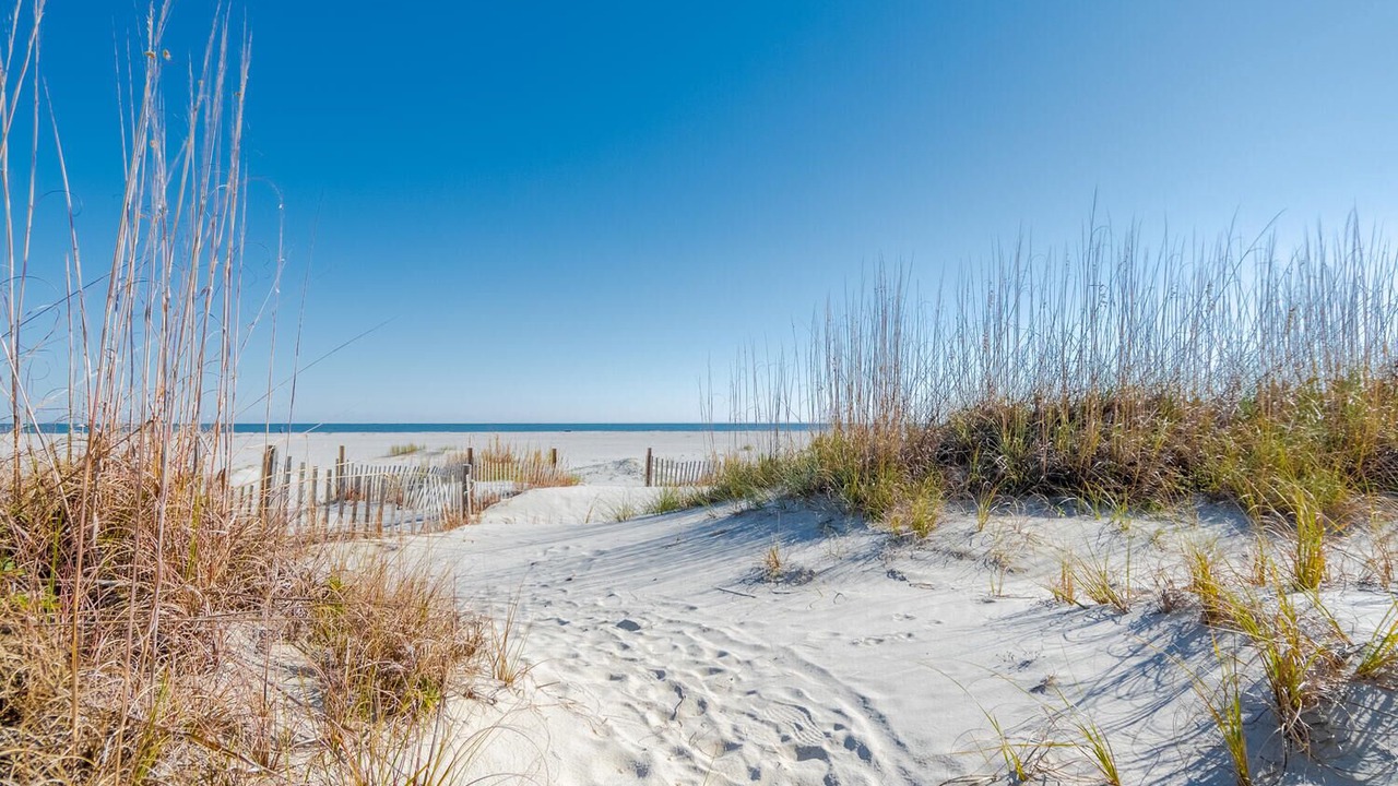 Photo of Others in Isle of Palms