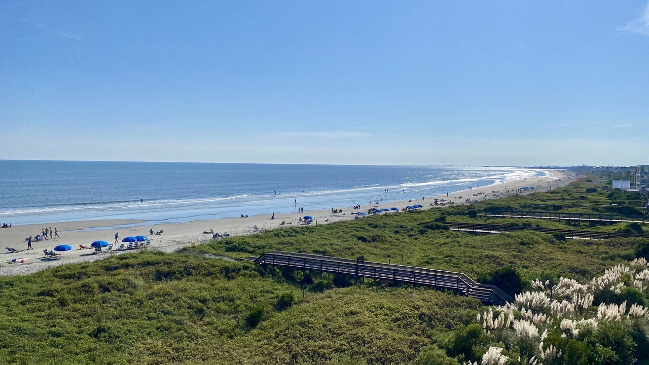 Photo of Others in Isle of Palms