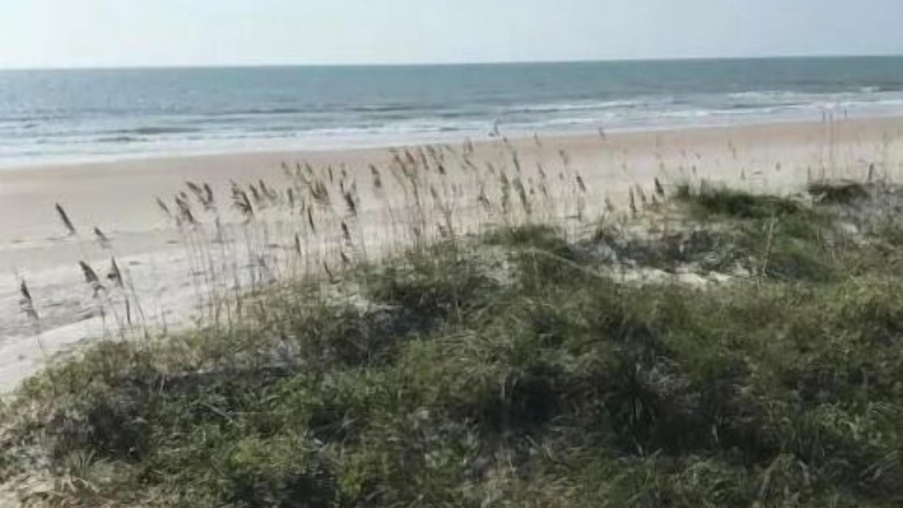 Photo of Others in North Litchfield Beach