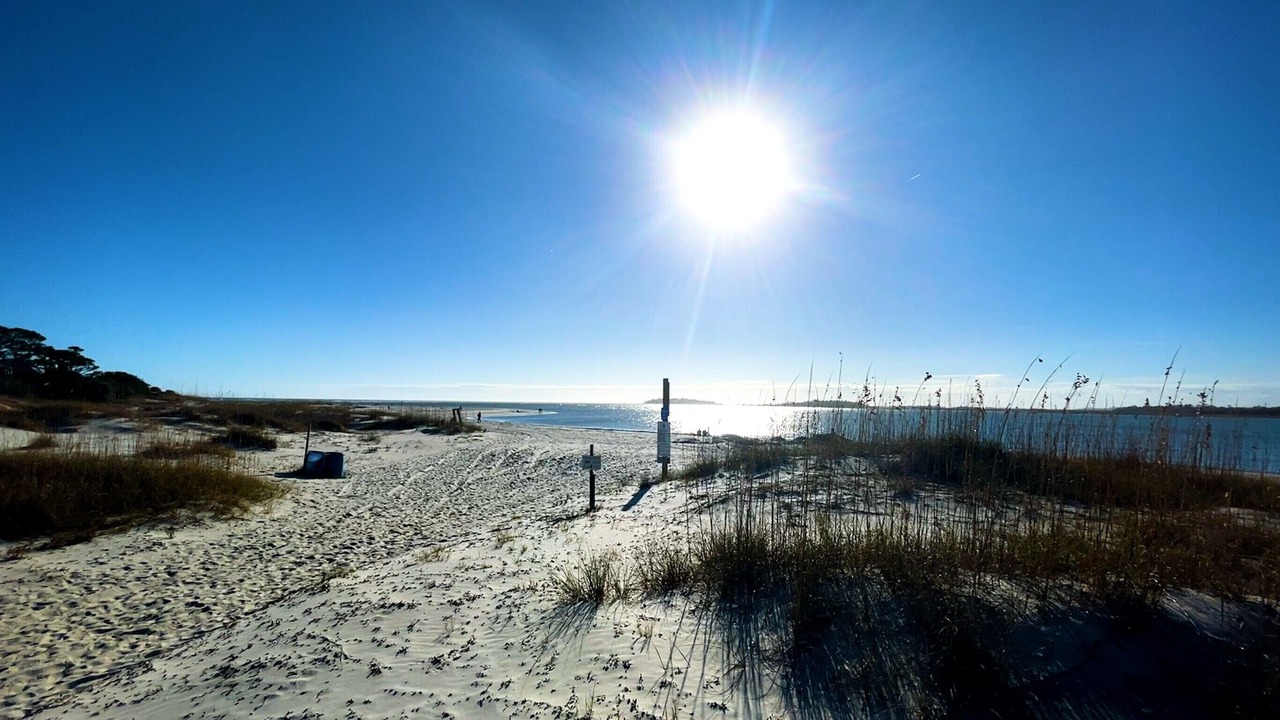Photo of Others in Tybee Island