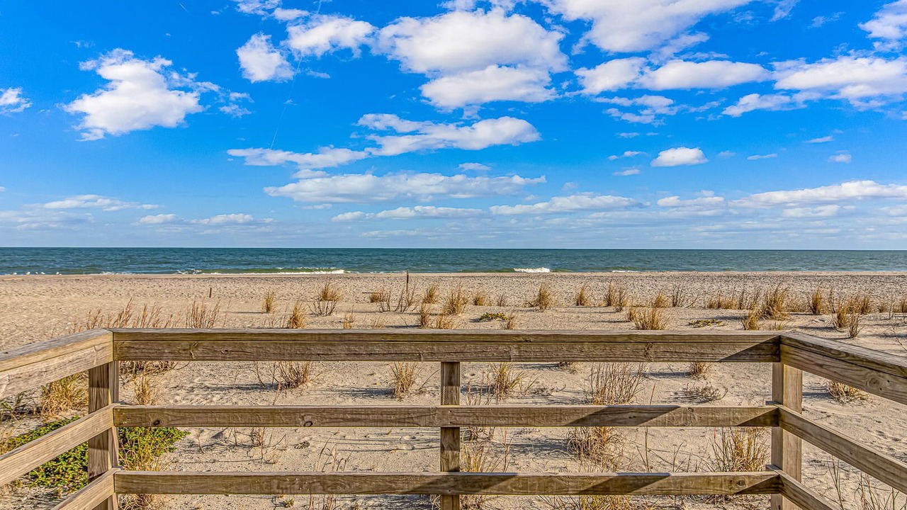 Photo of Others in Pawleys Island
