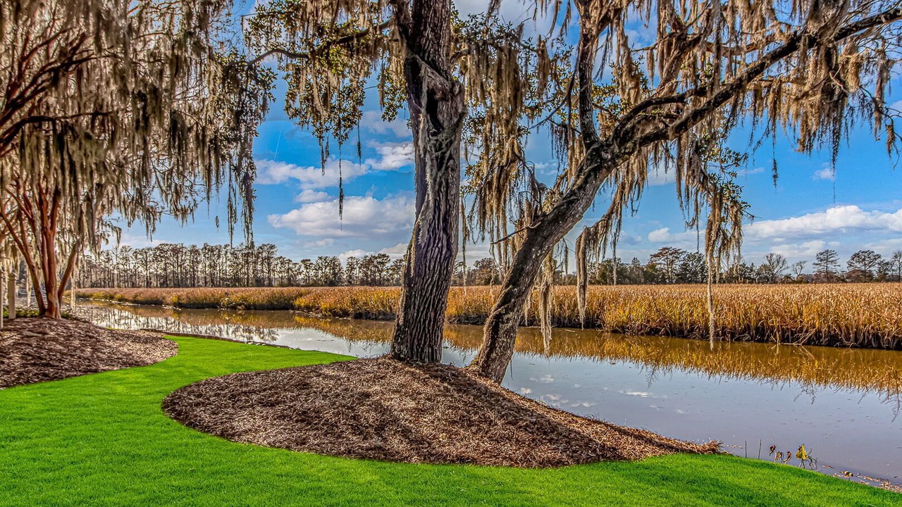 Photo of Outdoor in Pawleys Island