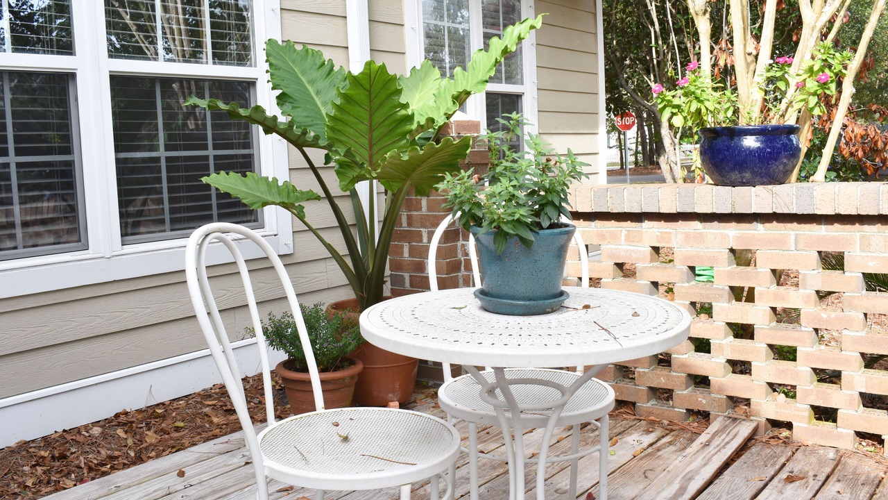 Photo of Outdoor in Mount Pleasant