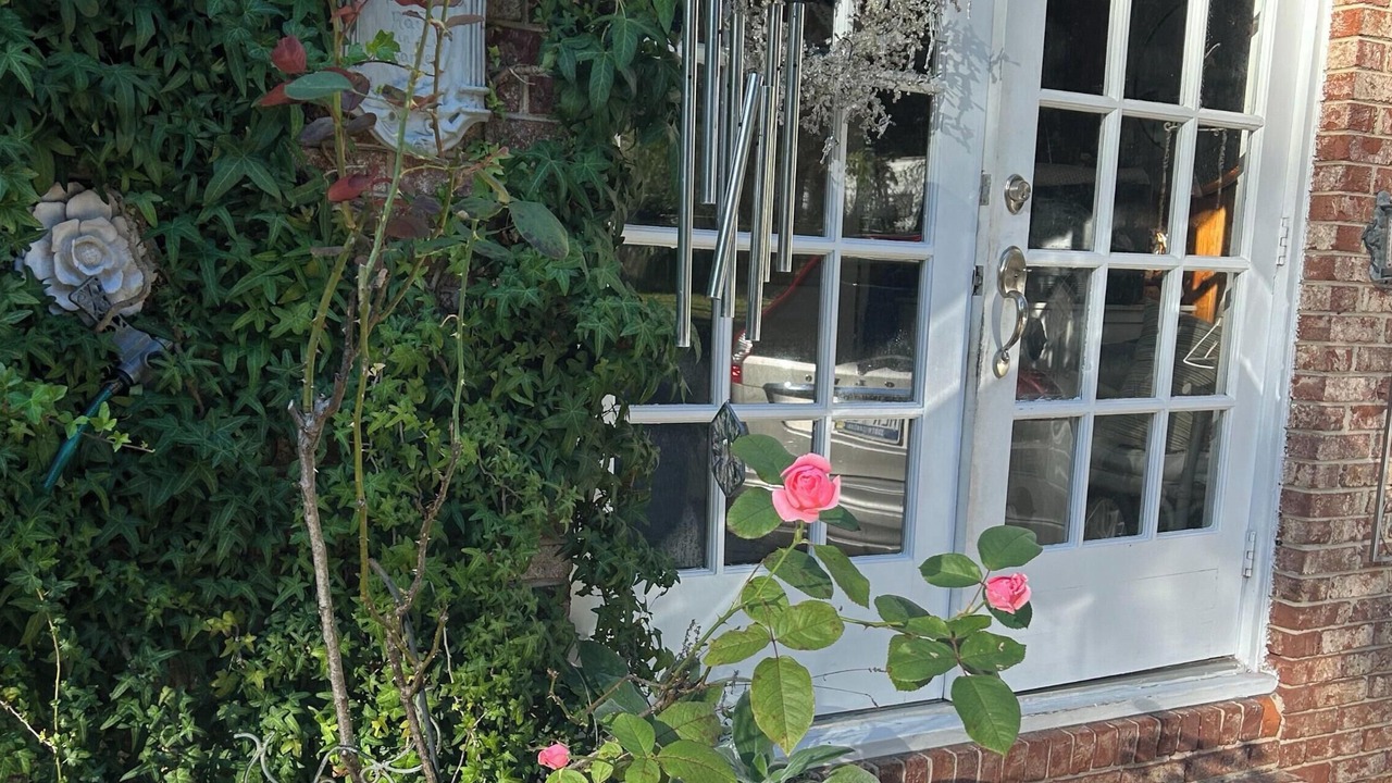 Photo of Outdoor in Jackson