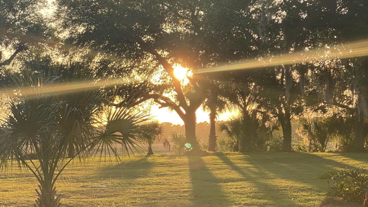 Photo of Outdoor in Saint Helena Island