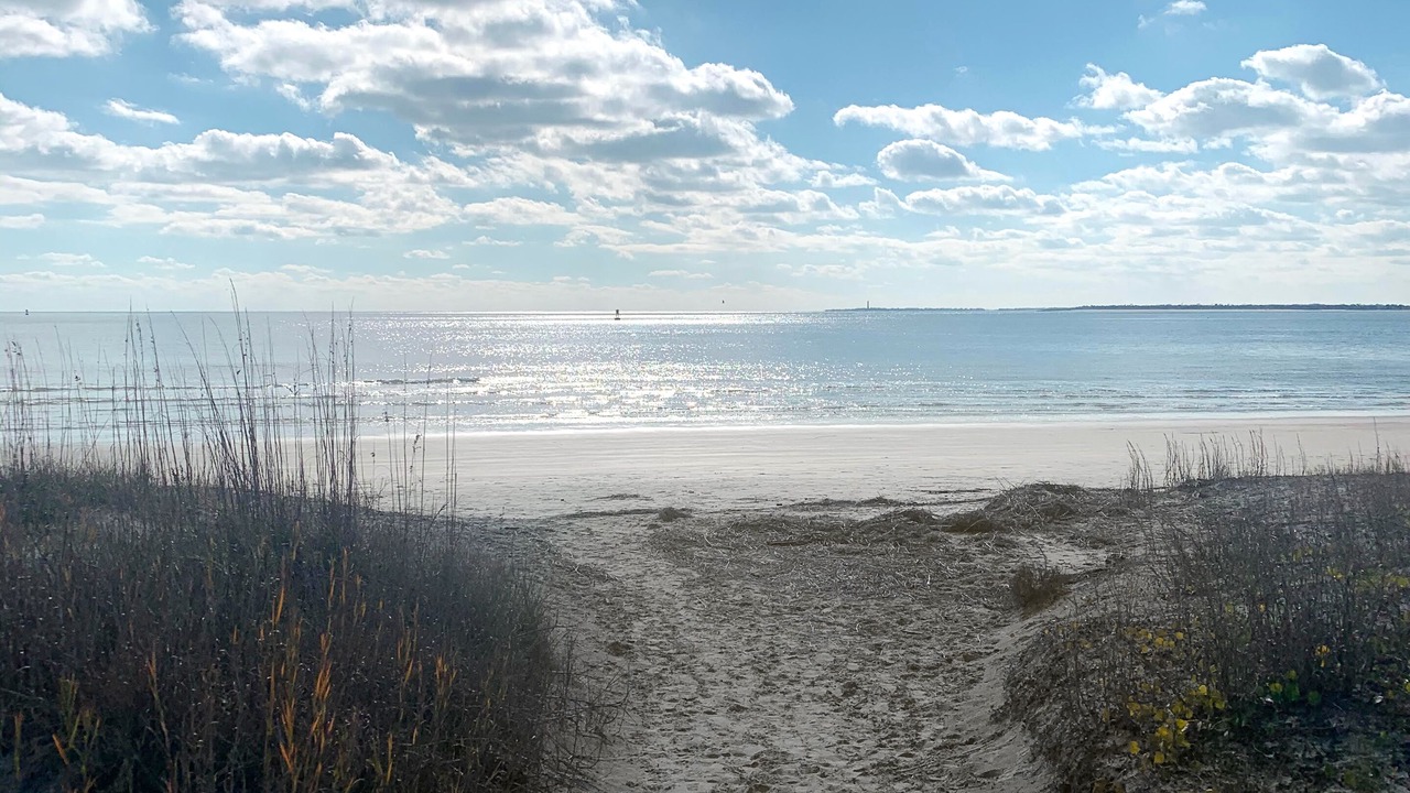 Photo of Others in Sullivan's Island