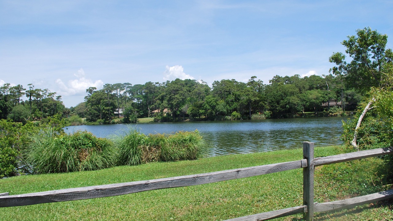 Photo of Outdoor in Arcadian Shores