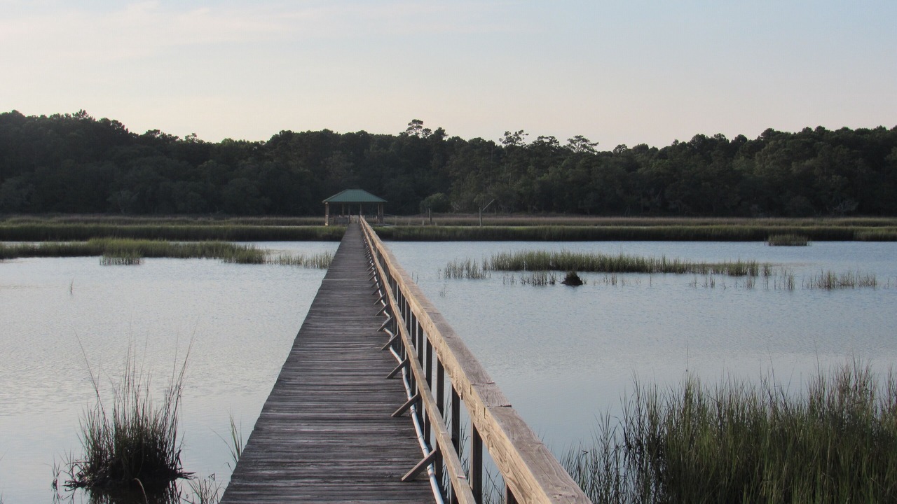 Photo of Outdoor in Johns Island