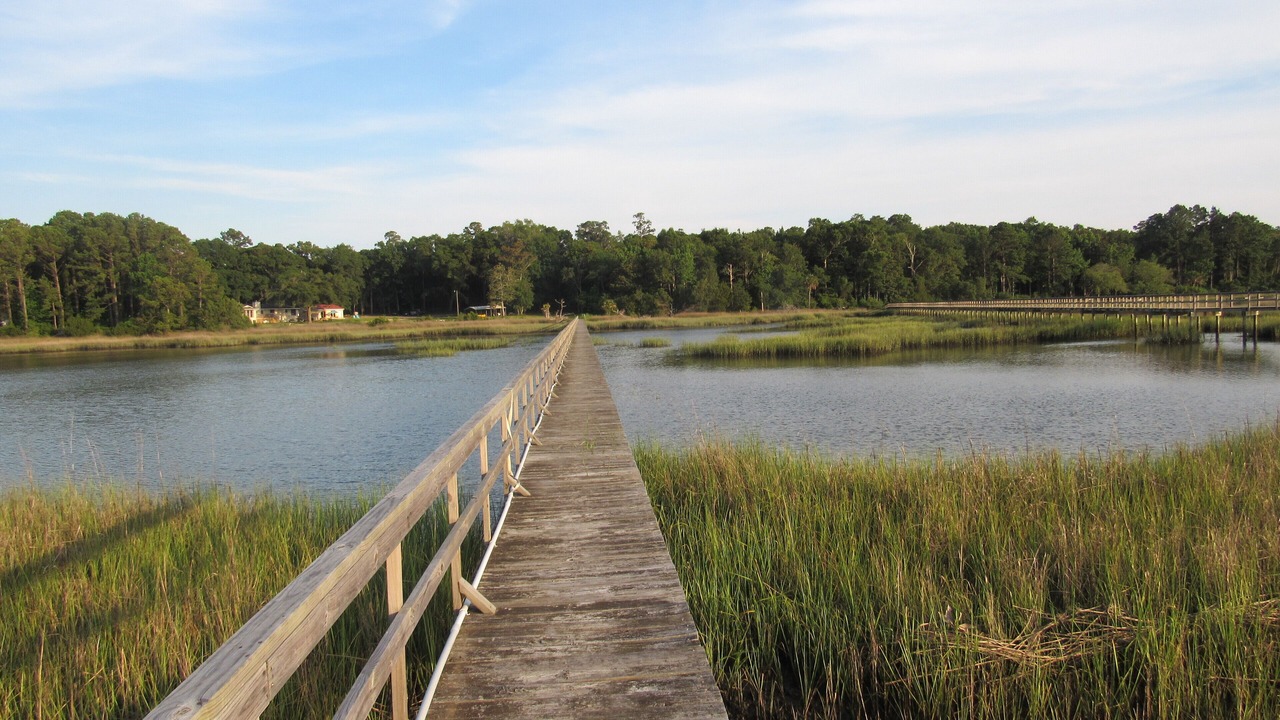 Photo of Outdoor in Johns Island