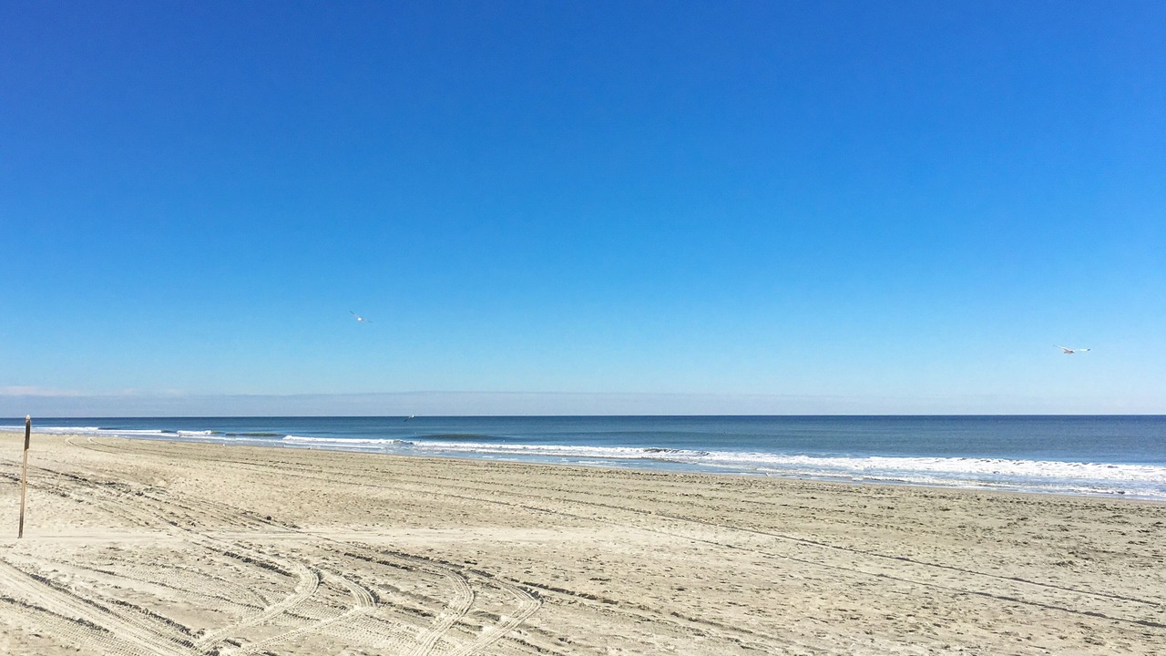 Photo of Others in Myrtle Beach