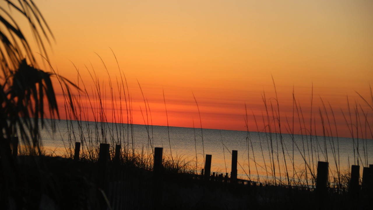 Photo of Others in Daufuskie Island
