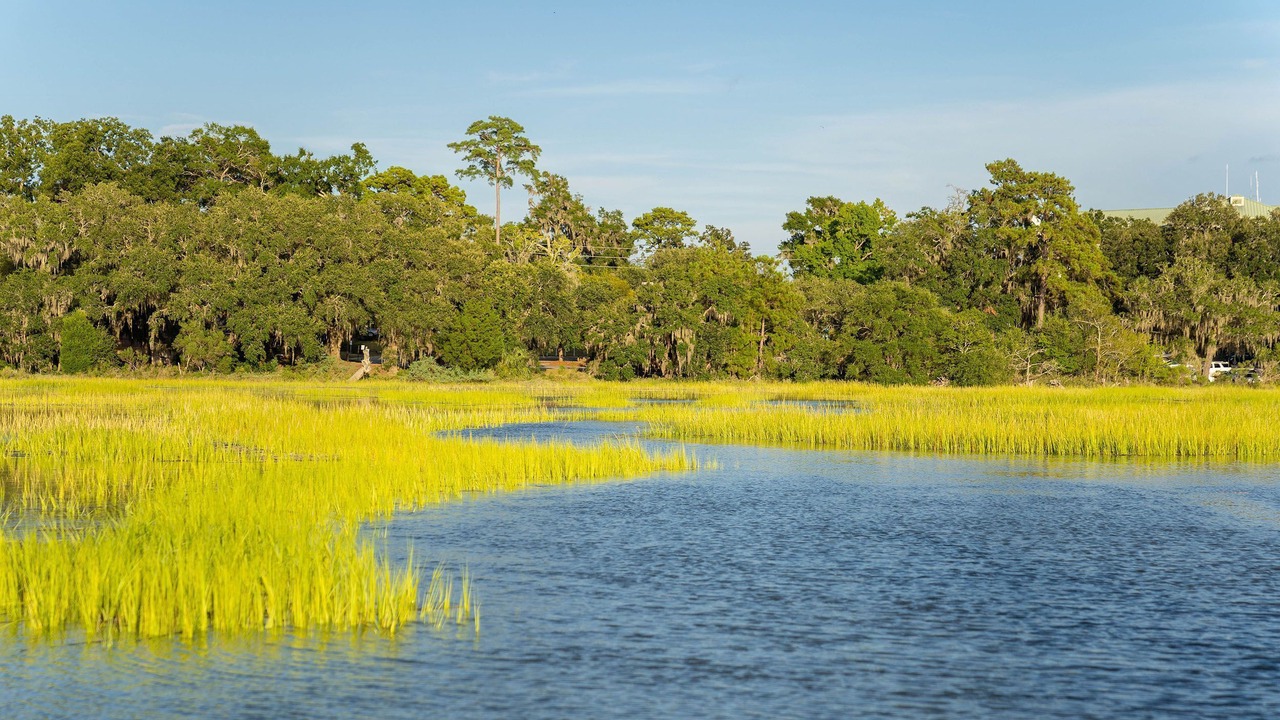 Photo of Others in Beaufort