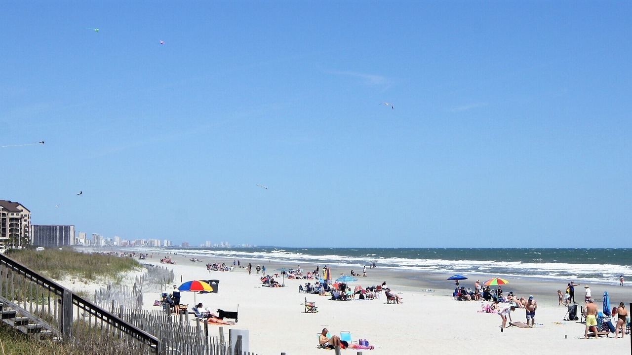 Photo of Others in Arcadian Shores
