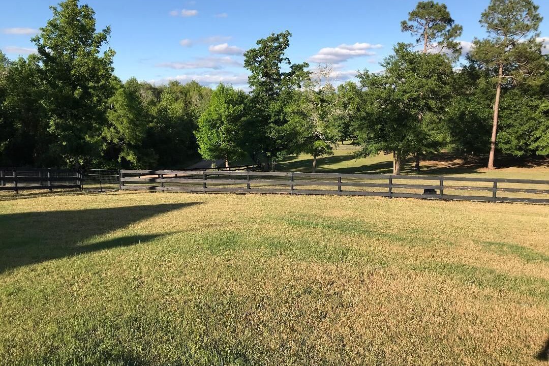Photo of Others in Aiken