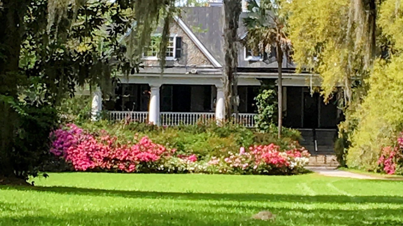 Photo of Outdoor in Charleston