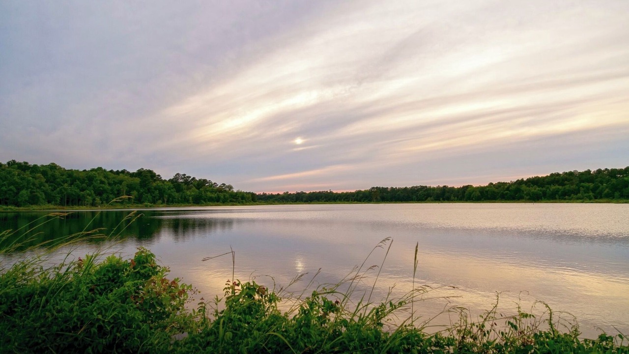 Photo of Others in Walterboro