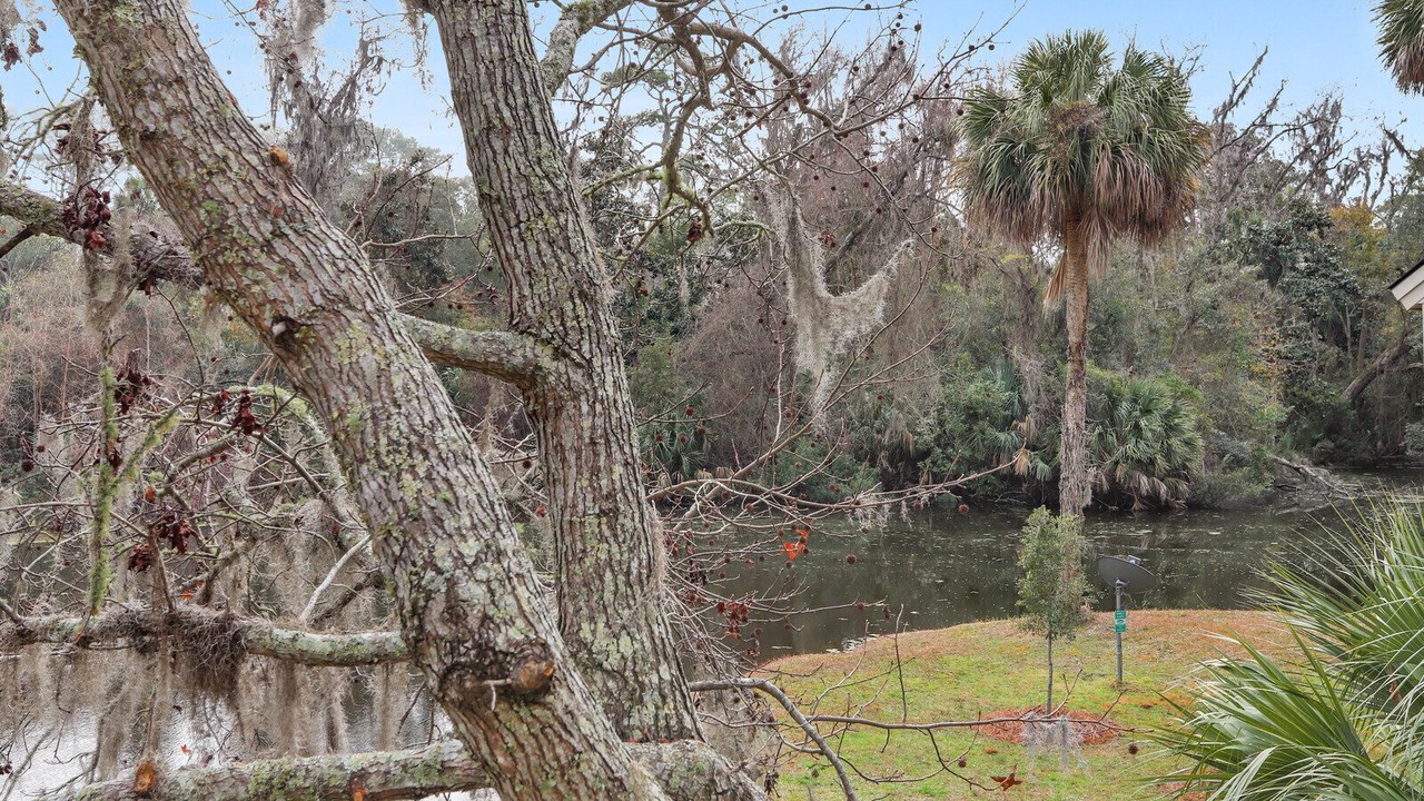 Photo of Outdoor in Night Heron