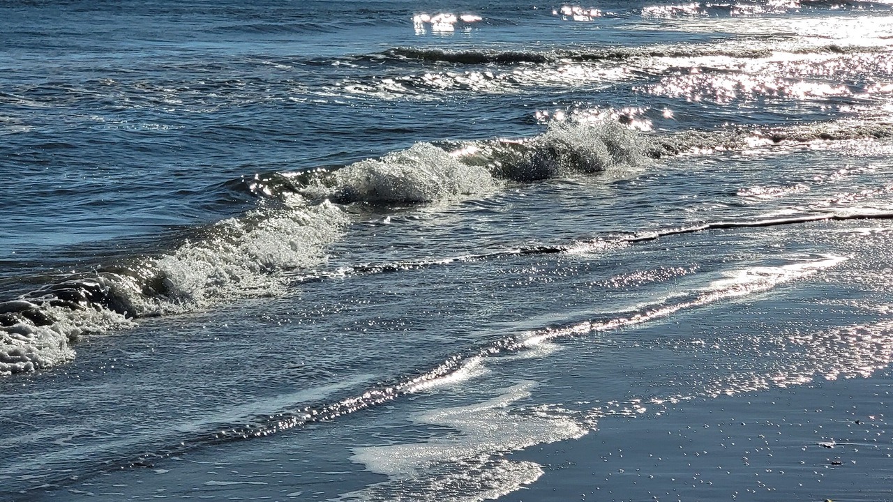 Photo of Others in Myrtle Beach