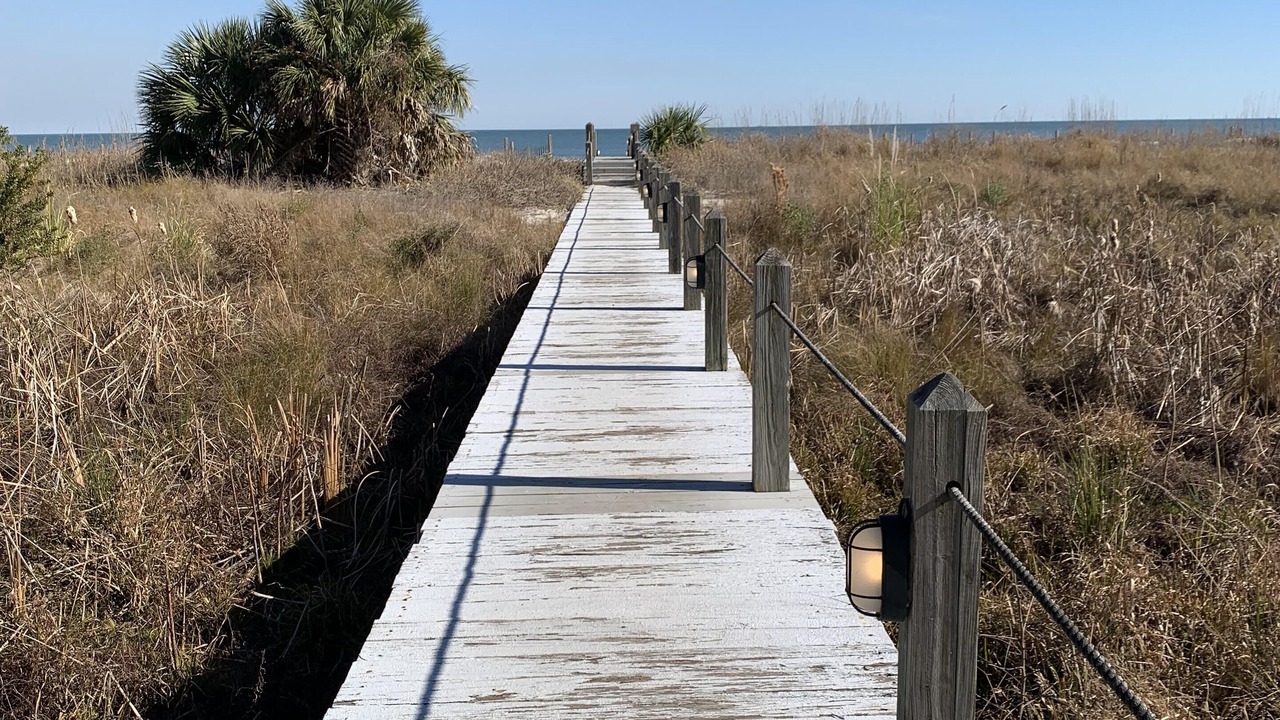 Photo of Outdoor in Daufuskie Island