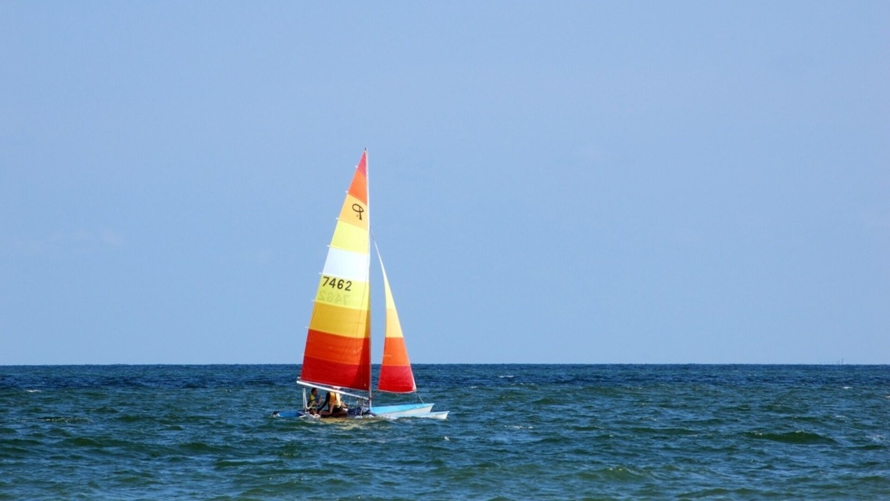 Photo of Others in Harbour Town