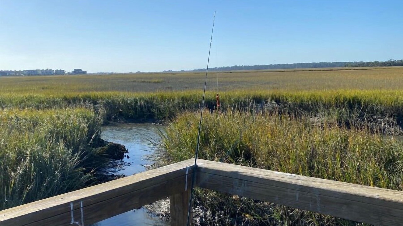 Photo of Outdoor in Saint Helena Island