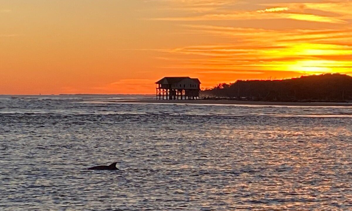 Photo of Others in Saint Helena Island