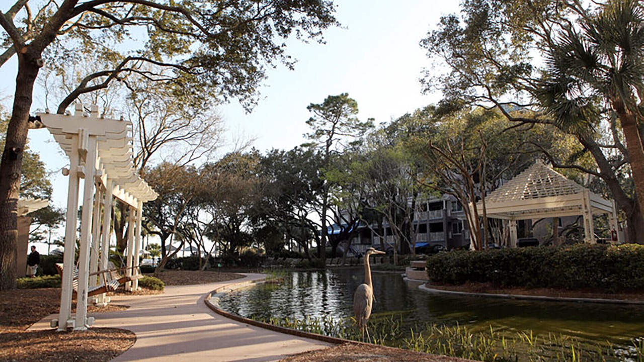 Photo of Outdoor in Hilton Head Island