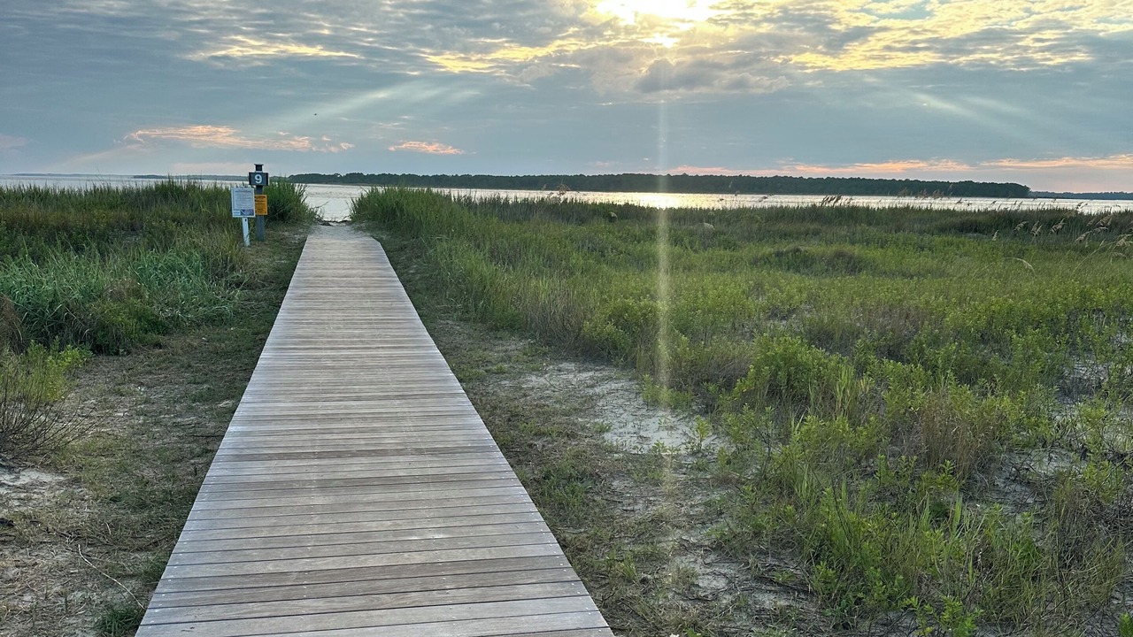 Photo of Others in Tarpon Pond