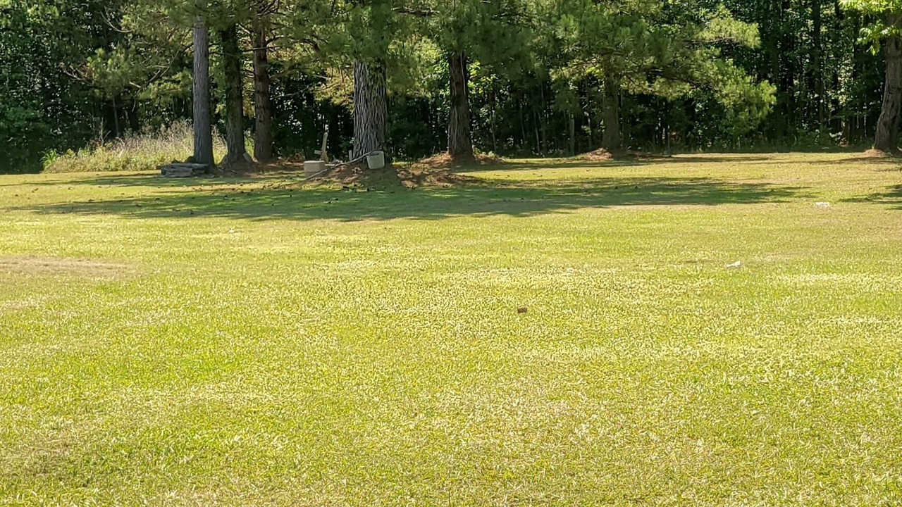 Photo of Others in Ruffin