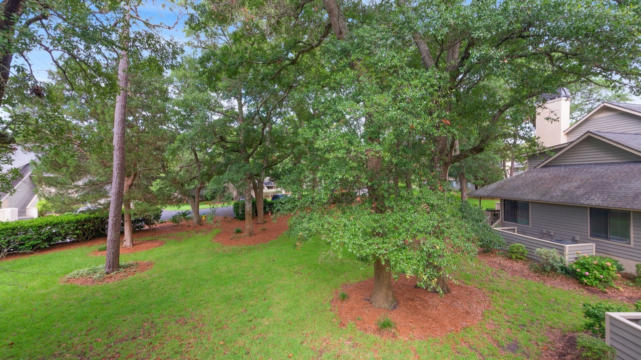 Photo of Others in Arcadian Shores