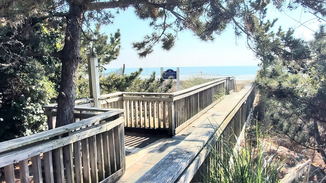 Photo of Others in Arcadian Shores